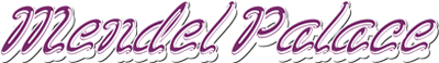 Mendel Palace logo for NES